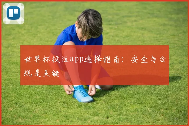 世界杯投注app选择指南：安全与合规是关键